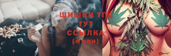 spice Арсеньев