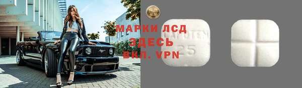 spice Аркадак