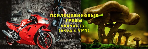 spice Аркадак